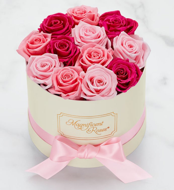 Magnificent Roses® Preserved Delightful Medley